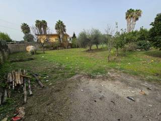 Terreno agricolo in affitto a pozzuoli via monterusso