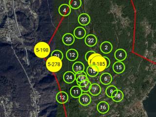 Terreno agricolo all'asta a lesa via per carpugnino e graglia