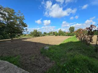 Terreno agricolo in affitto a marano di napoli via eduardo de filippo, 18