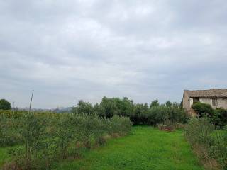 Terreno residenziale in vendita a morrovalle contrada montigliano, 3