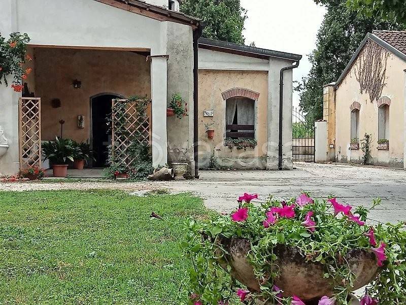 immagine annuncio 8 di 12