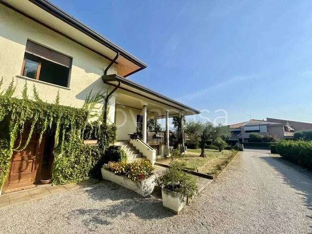 immagine annuncio 1 di 14