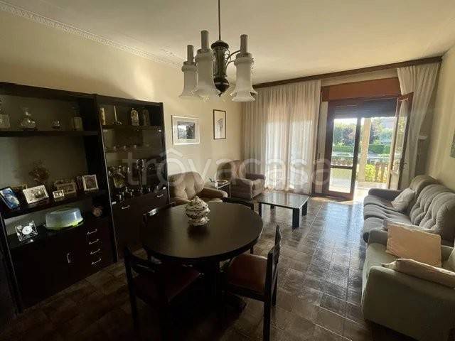 immagine annuncio 6 di 14