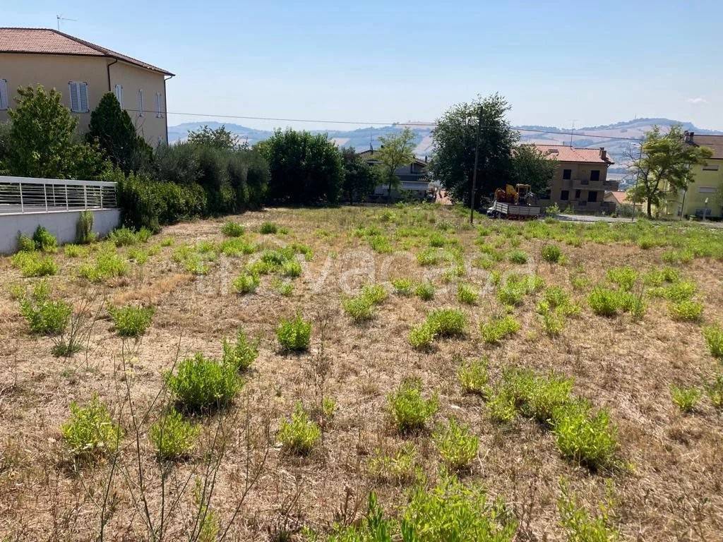 immagine annuncio 2 di 8