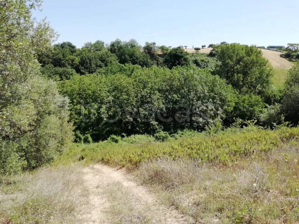 immagine annuncio 5 di 9