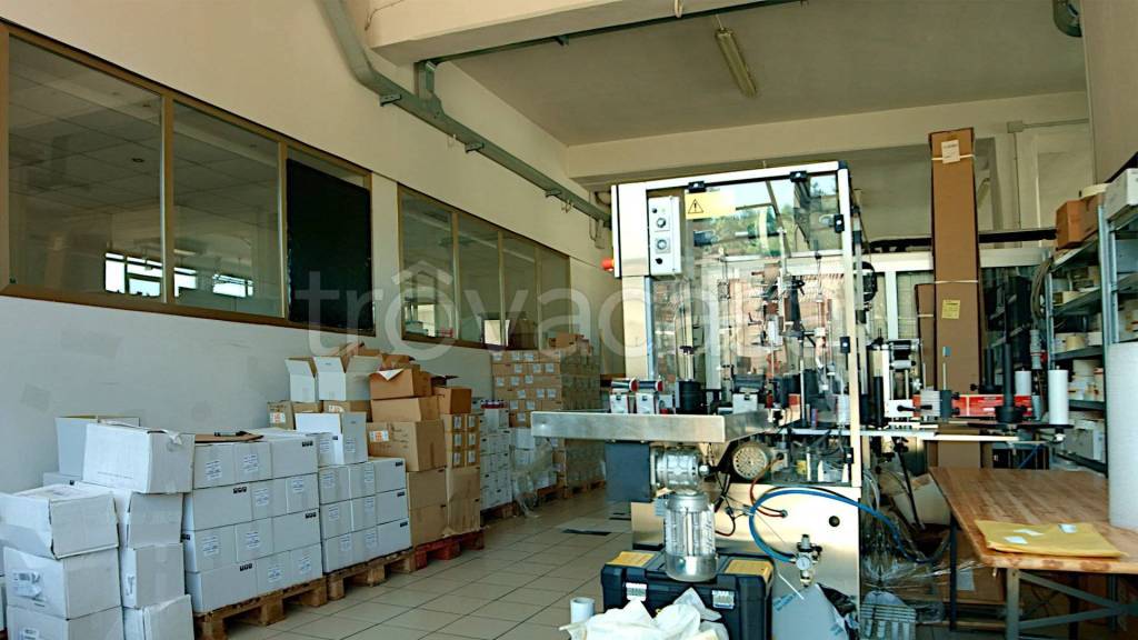 immagine annuncio 1 di 6