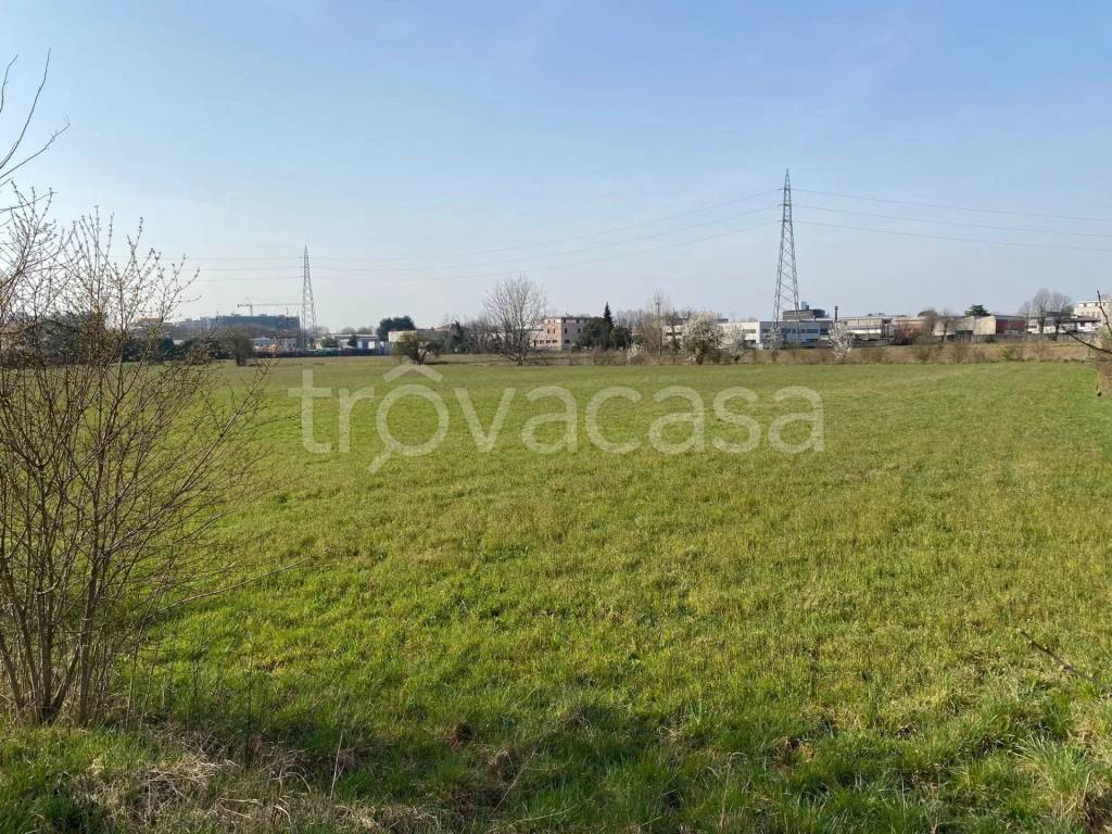 immagine annuncio 1 di 14