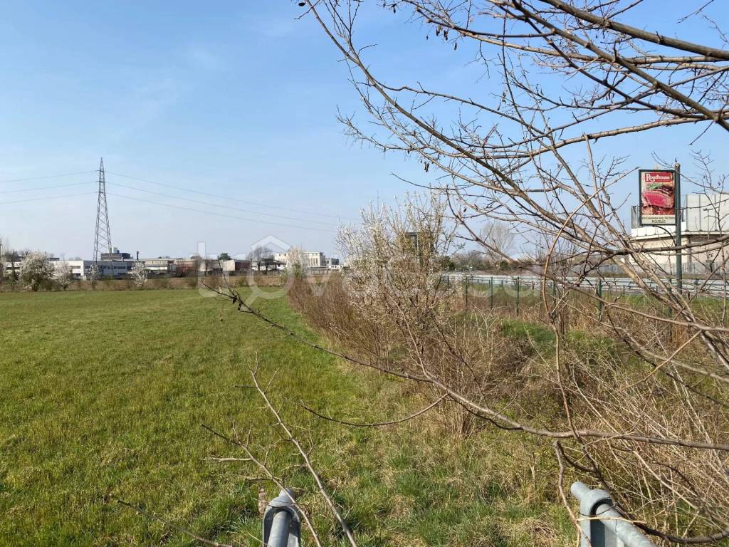 immagine annuncio 2 di 14