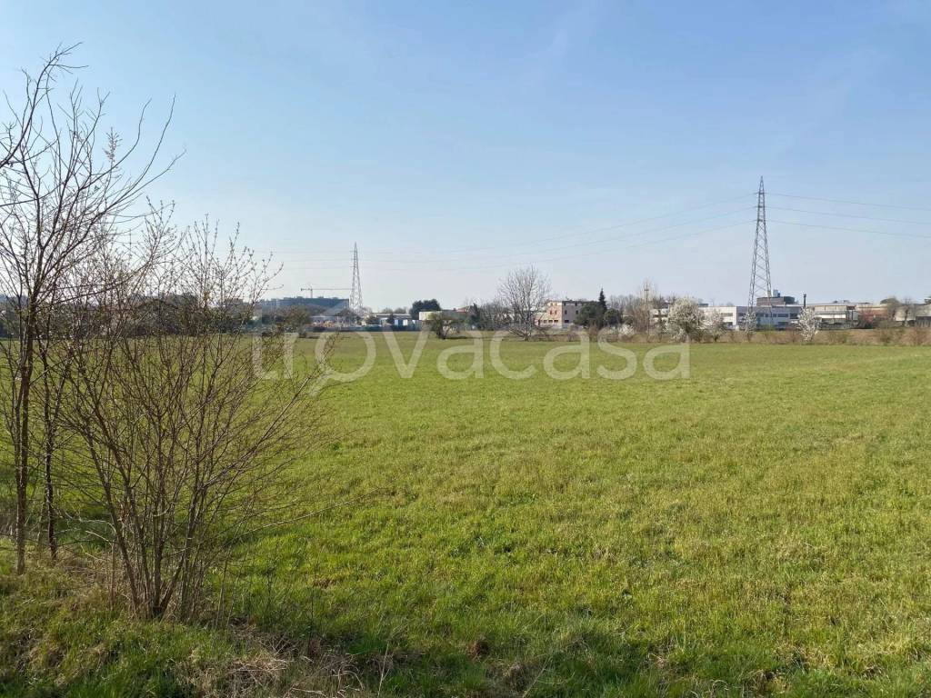 immagine annuncio 3 di 14