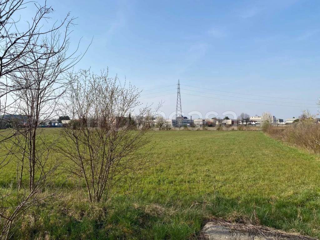 immagine annuncio 4 di 14