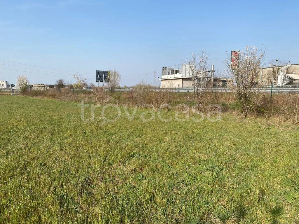 immagine annuncio 5 di 14