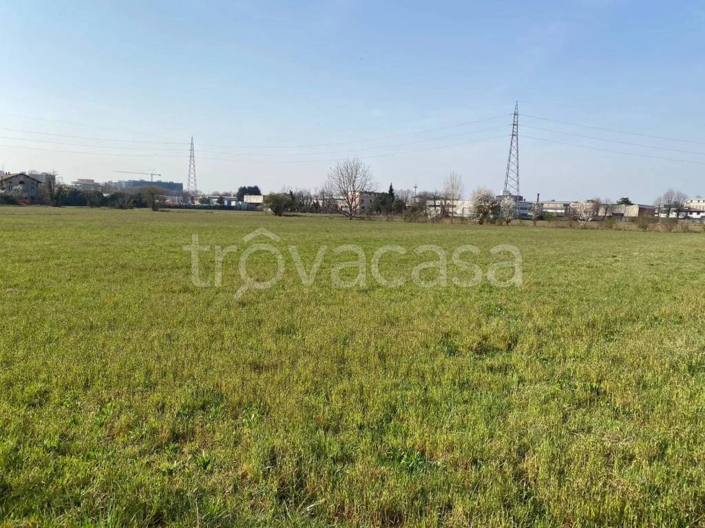 immagine annuncio 6 di 14