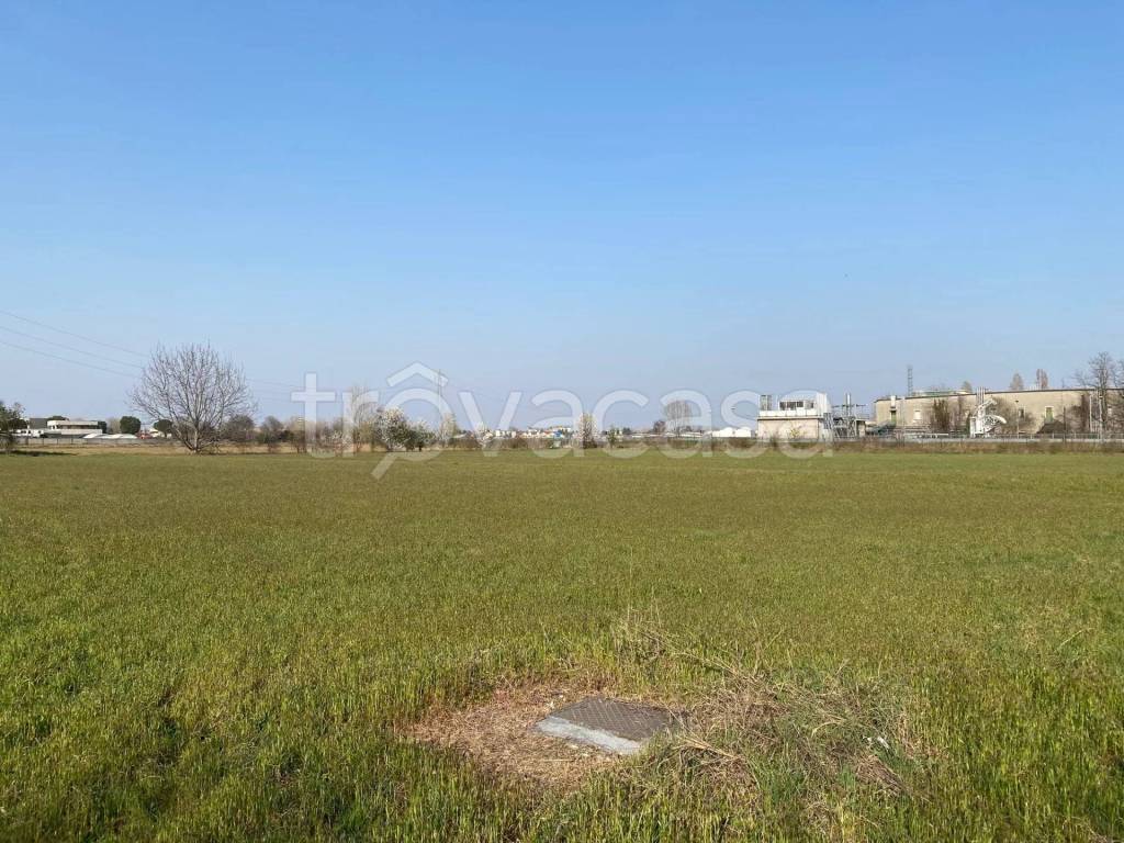 immagine annuncio 11 di 14