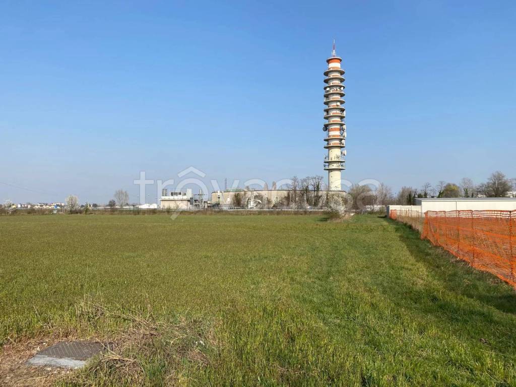 immagine annuncio 12 di 14