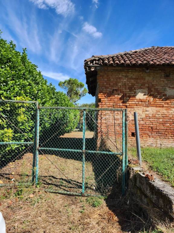 immagine annuncio 1 di 14