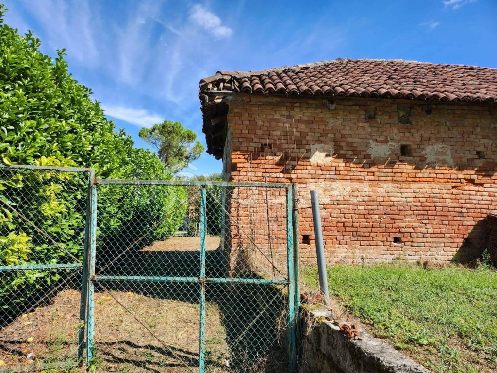 immagine annuncio 7 di 14