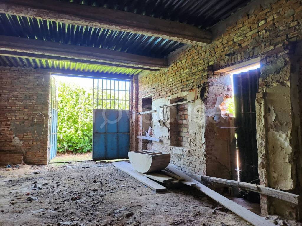 immagine annuncio 9 di 14