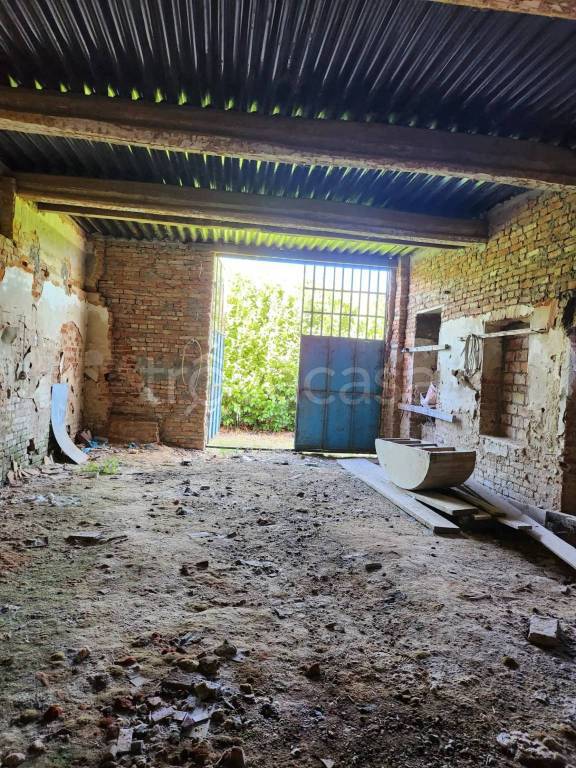 immagine annuncio 12 di 14