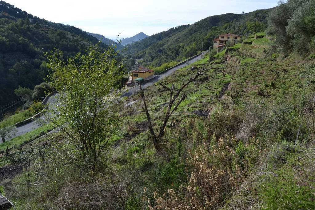 immagine annuncio 5 di 7