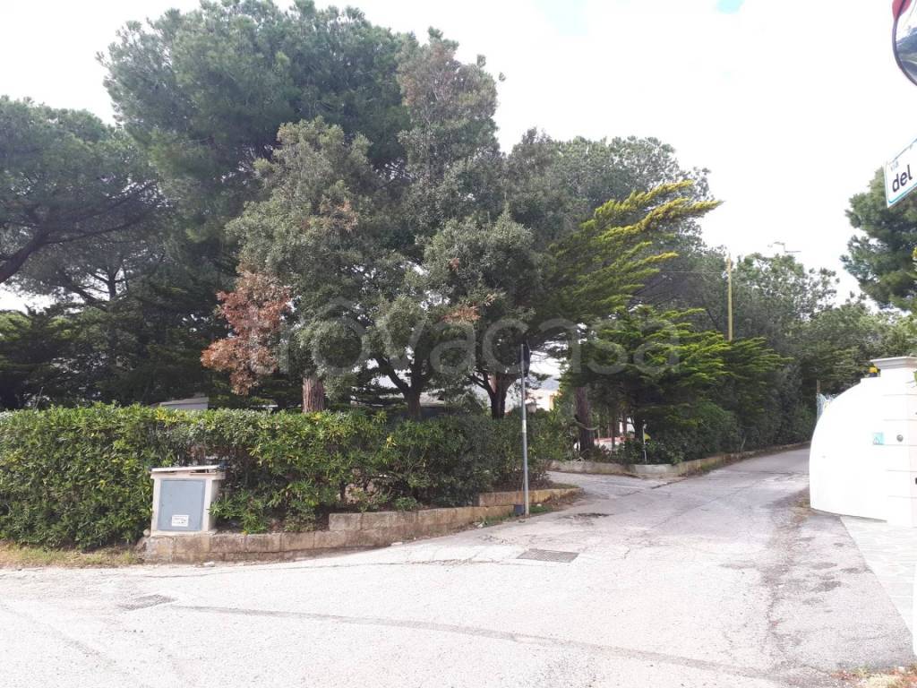 immagine annuncio 10 di 12