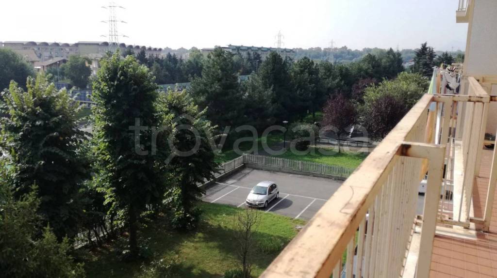 immagine annuncio 8 di 14