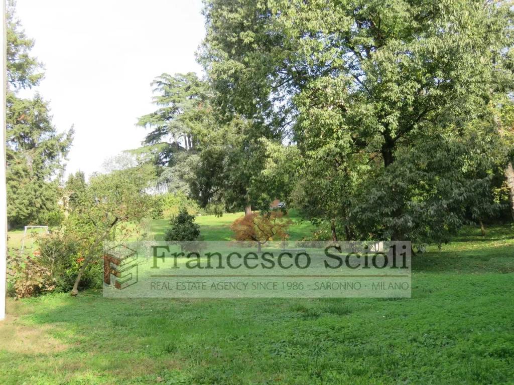 immagine annuncio 8 di 12