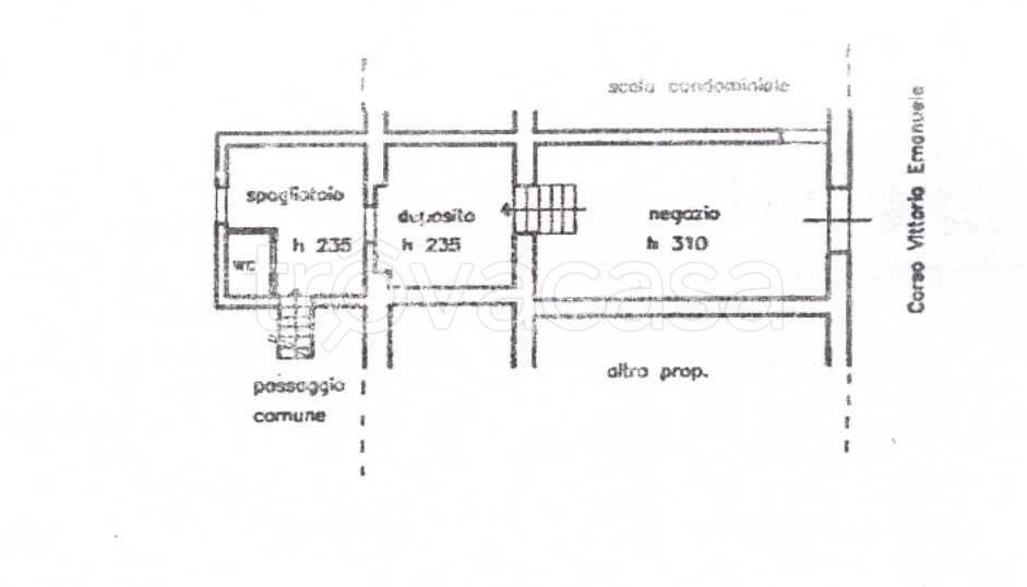 immagine annuncio 5 di 6