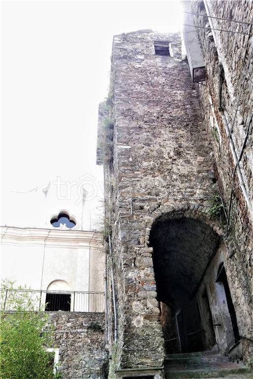 immagine annuncio 11 di 14
