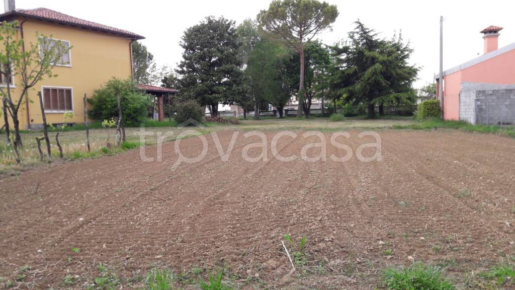 immagine annuncio 6 di 8
