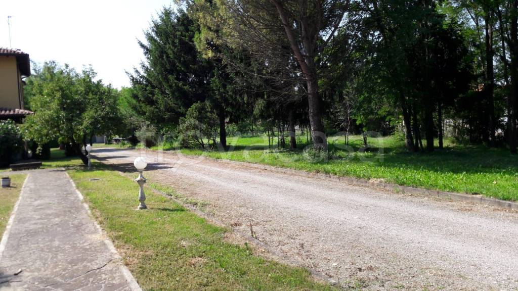 immagine annuncio 4 di 8