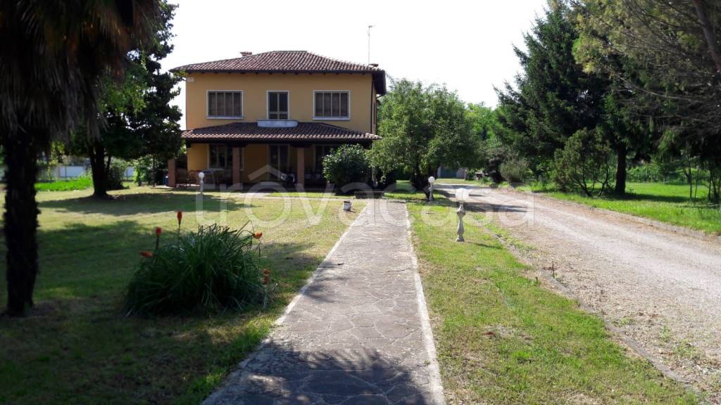 immagine annuncio 1 di 8