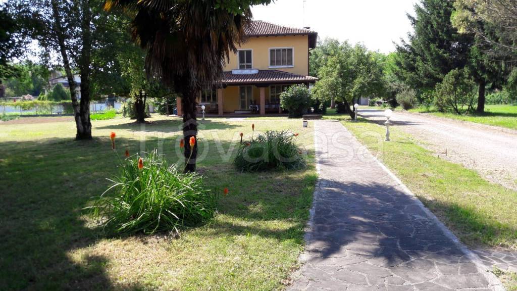 immagine annuncio 1 di 14