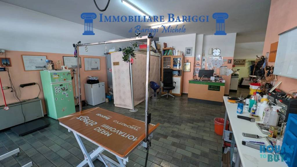 immagine annuncio 1 di 14