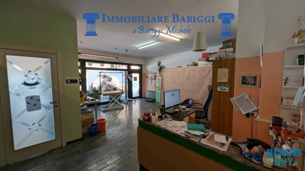 immagine annuncio 5 di 14