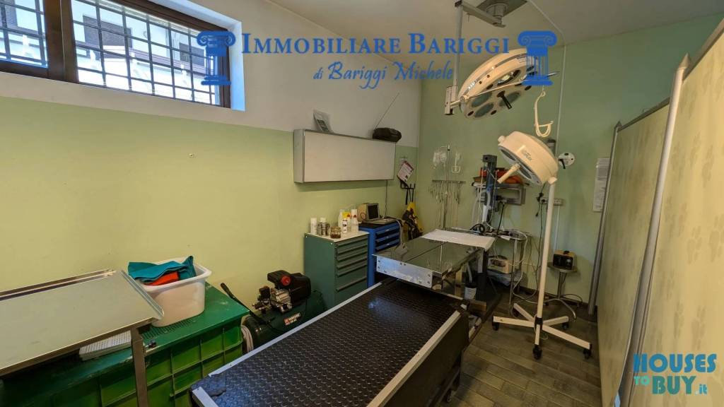 immagine annuncio 8 di 14
