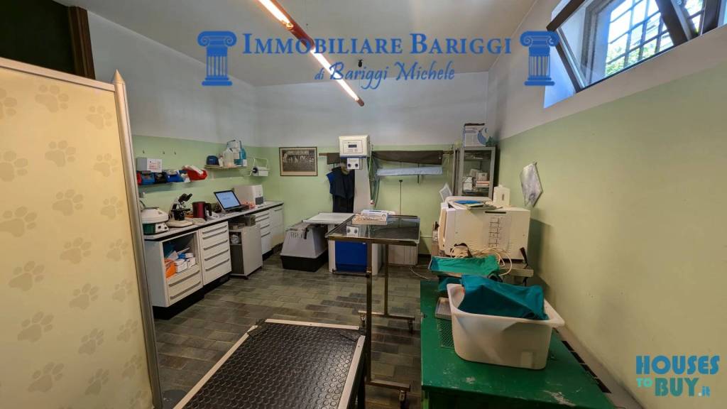immagine annuncio 9 di 14