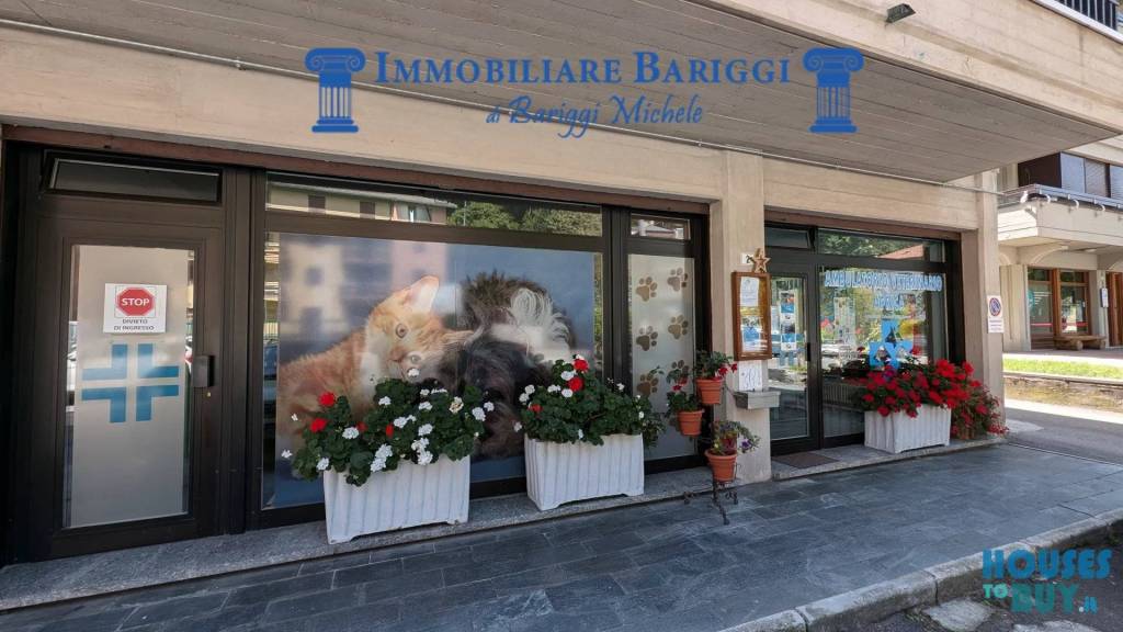 immagine annuncio 12 di 14