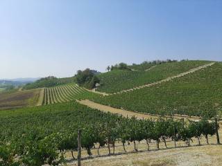 Cascina in vendita a rosignano monferrato strada provinciale chiabotto di san giorgio-ozzano