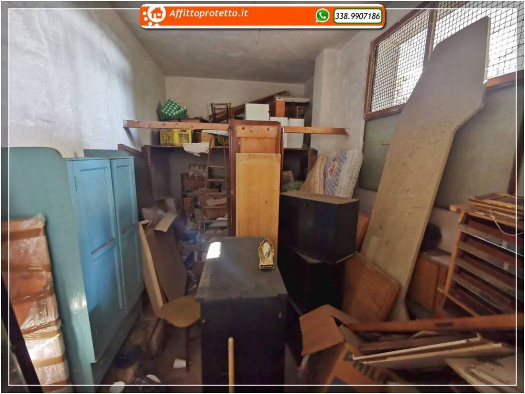 immagine annuncio 9 di 15