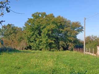 Terreno agricolo in vendita a san cesareo via della favetta