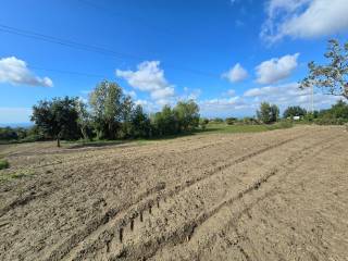 Terreno agricolo in affitto a marano di napoli via eduardo de filippo, 18