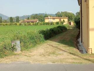 Terreno agricolo in vendita a pietrasanta via del padule, 43