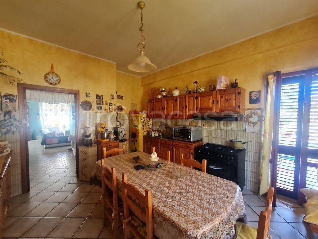 immagine annuncio 5 di 14