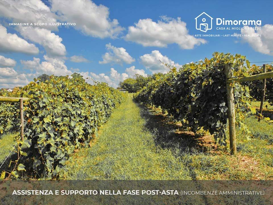 immagine annuncio 4 di 11