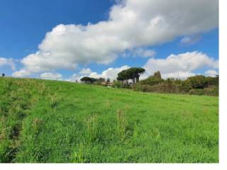 Terreno agricolo all'asta a roma largo dell'olgiata