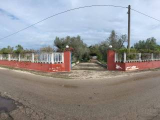 Terreno agricolo in vendita a campi salentina strada comunale olmo conella