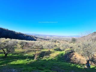 Terreno agricolo in vendita a montaione località iano