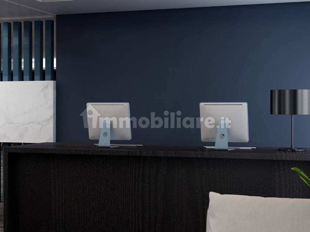 immagine annuncio 3 di 12