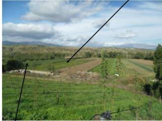 Terreno agricolo all'asta a roggiano gravina contrada padelli