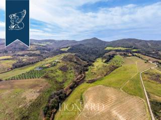 Azienda agricola in vendita a rosignano marittimo 